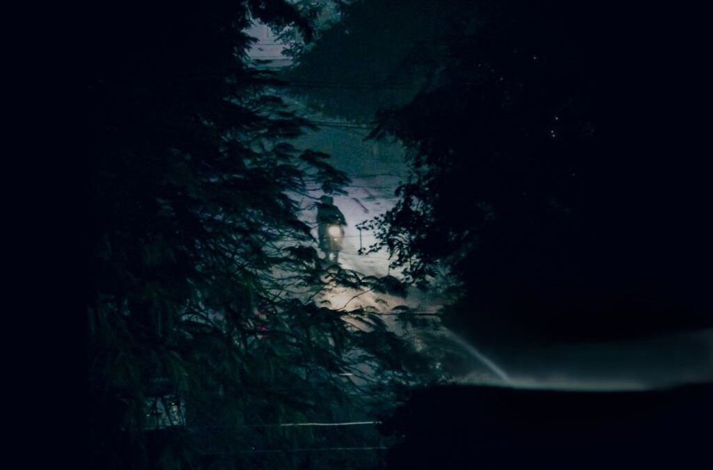 ডাইনী ধনিকৰ সৃষ্টি