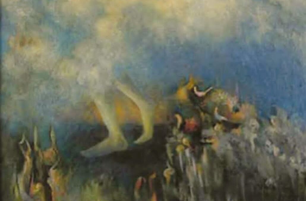 মেঘৰ ডেউকা